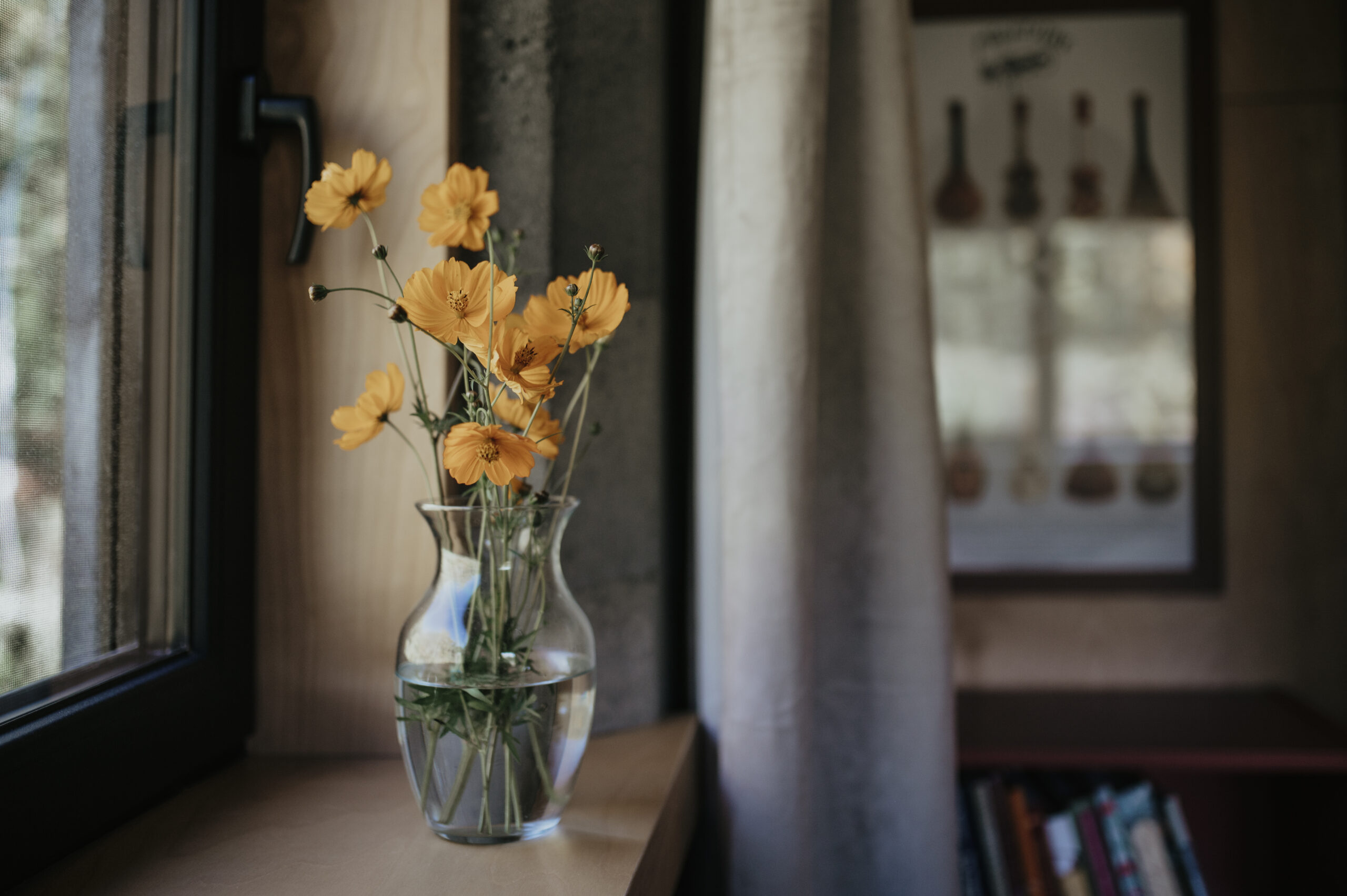 Fresh flowers from the garden