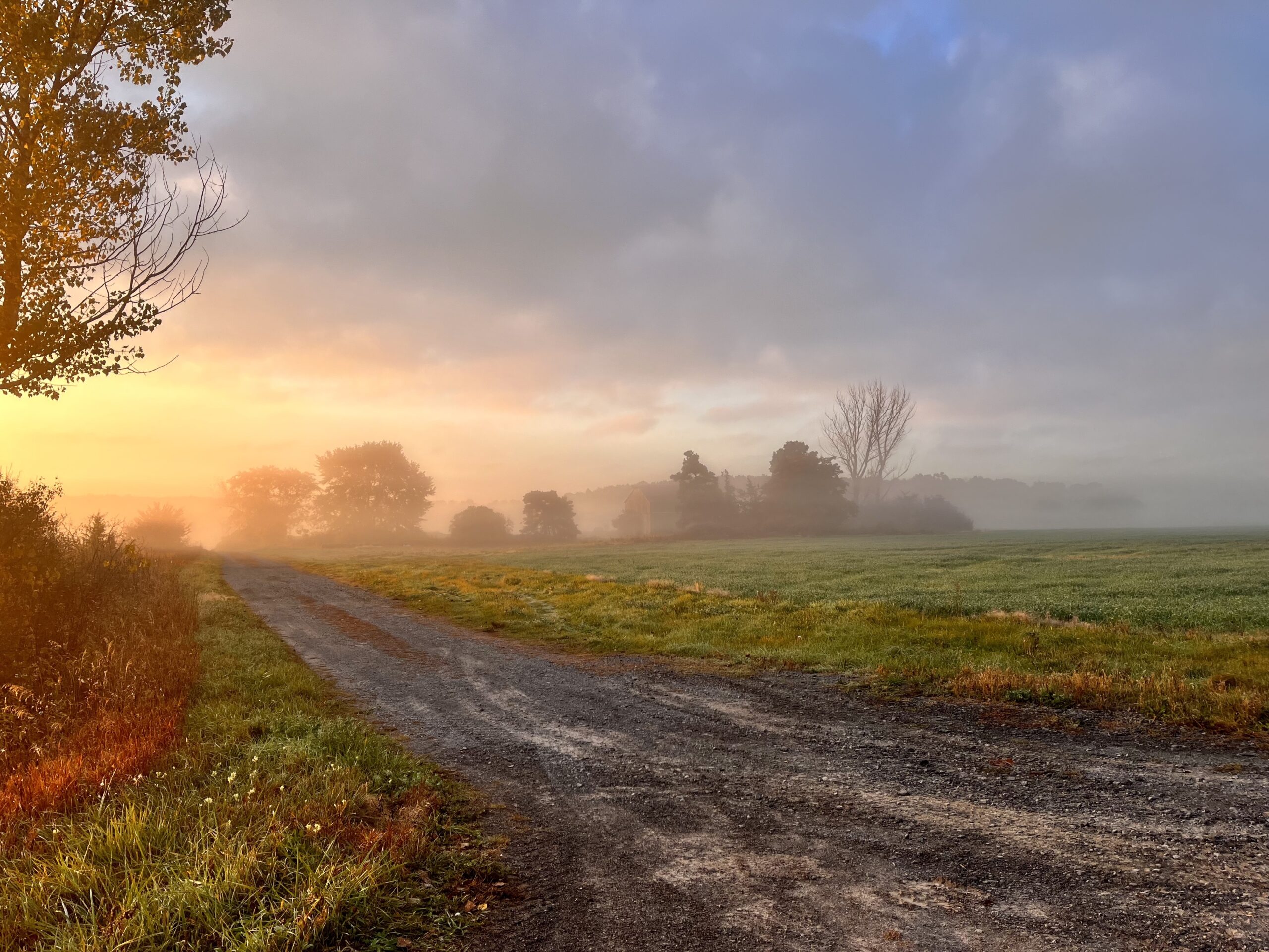 View while jogging along Kelly Road in morning